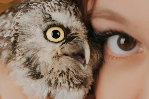 Casino Loco Win Stuðningur